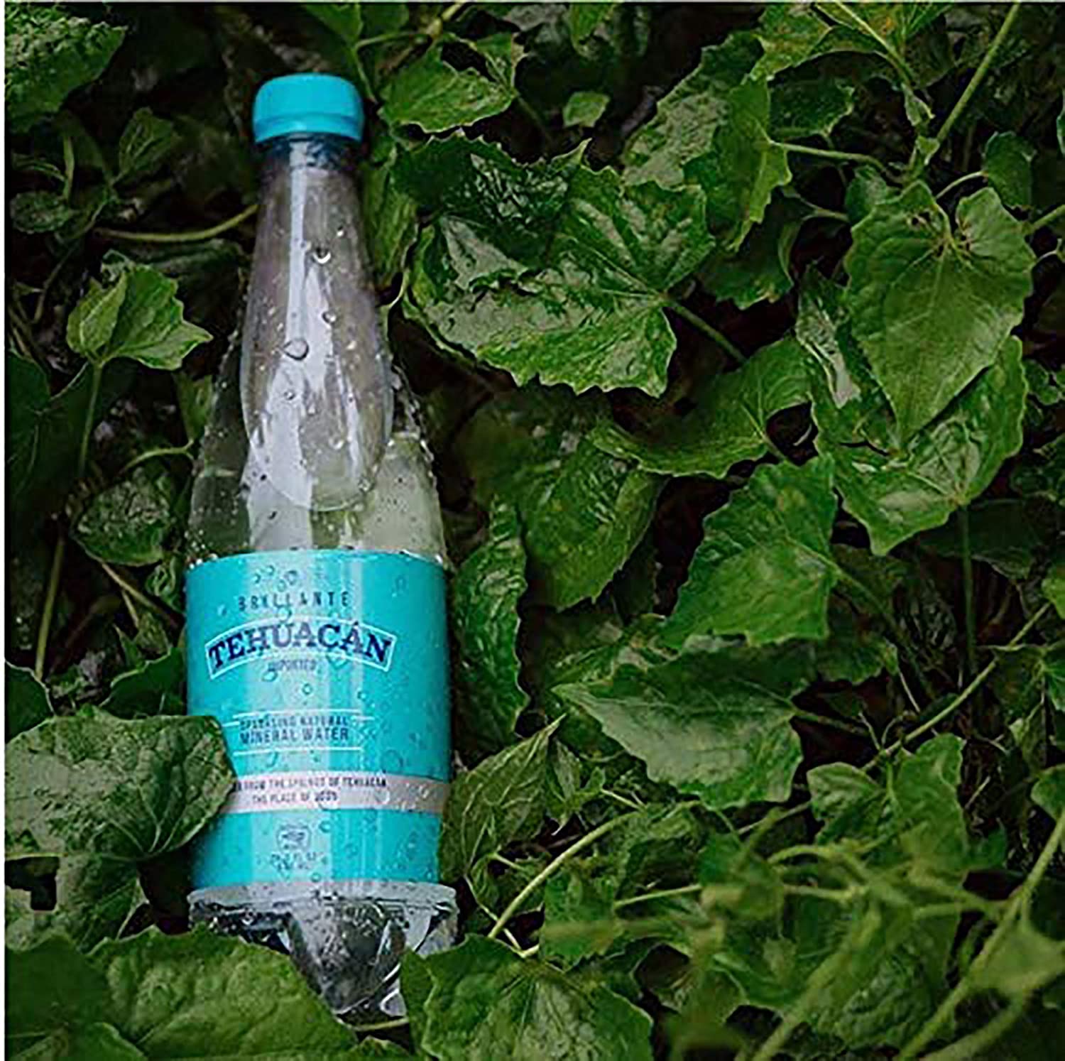 Tehuacán Brillante - Sparkling Water, Naturally Mineralized by Volcanic Rock! (24 - 20oz Bottles)