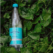 Load image into Gallery viewer, Tehuacán Brillante - Sparkling Water, Naturally Mineralized by Volcanic Rock! (24 - 20oz Bottles)
